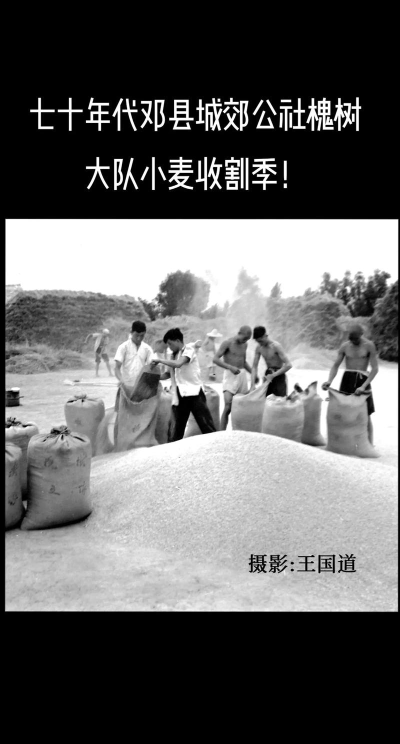 激情燃烧的岁月下载地址大全,快速方便下载!