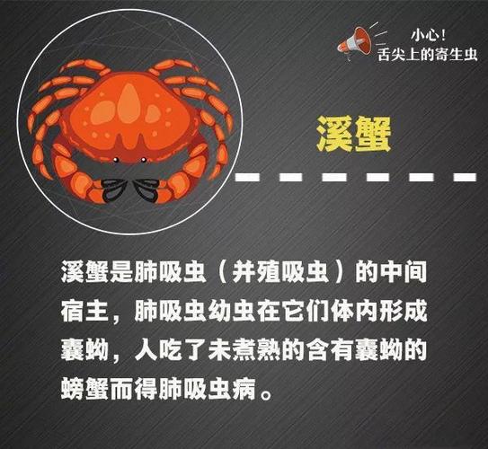 安全可靠的内部寄生虫下载地址,快来下载体验!