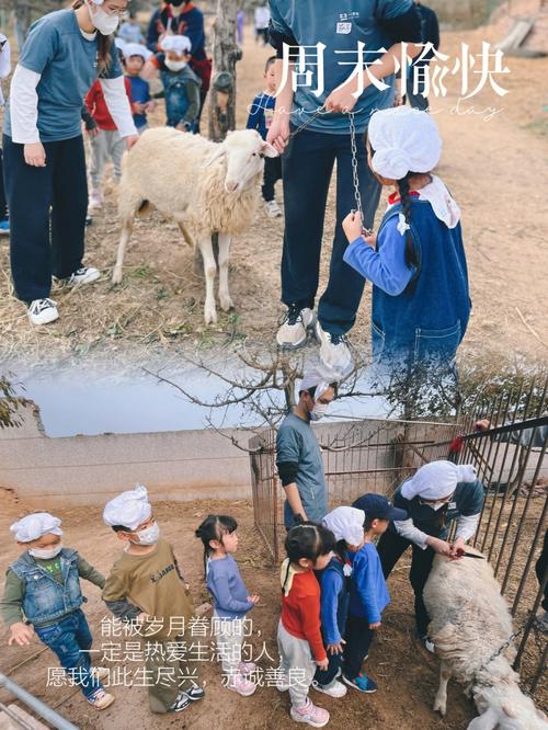 抵制诱惑!内有小羊官方正式版下载,安全下载最新版。
