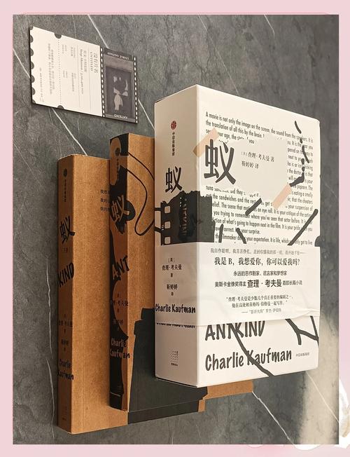 揭开未知的面纱汉化版：最新版本更新内容详解