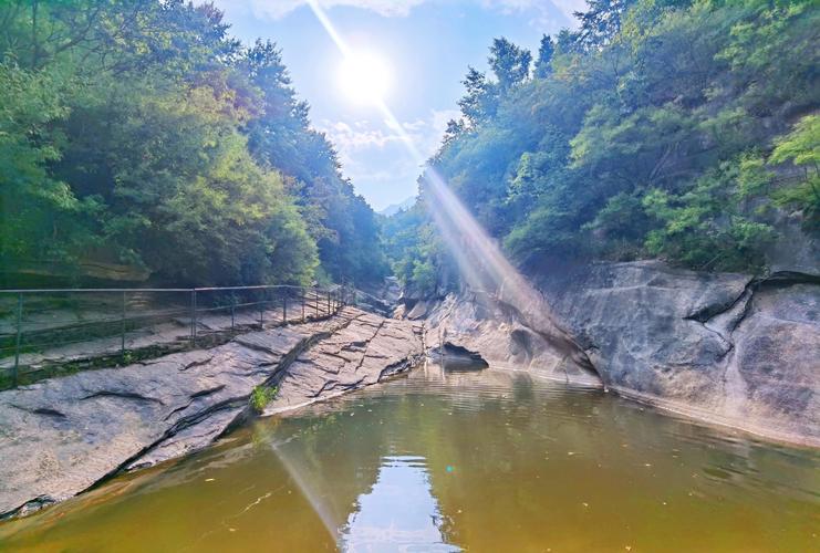 最新精灵谷地址更新,赶紧收藏避免迷路!