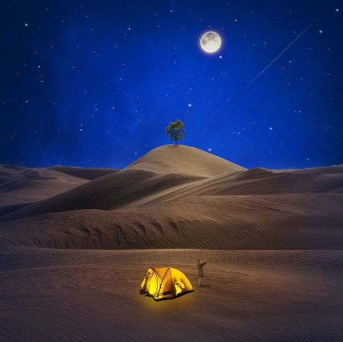 沙漠潜行者安卓版0.17更新:全新剧情等你体验