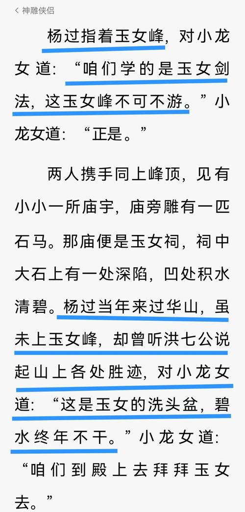 深入探讨:杨过游戏盗摄视奸事件的真相与反思