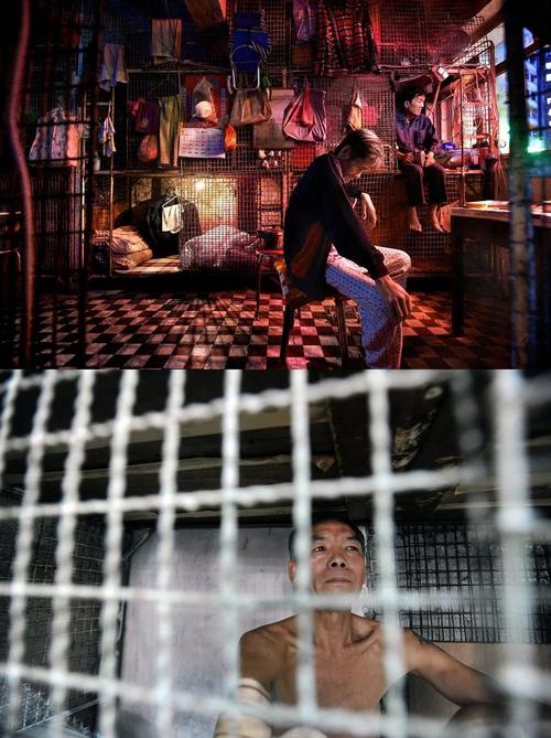 虫之监狱最新版本下载:PC+安卓都能玩!