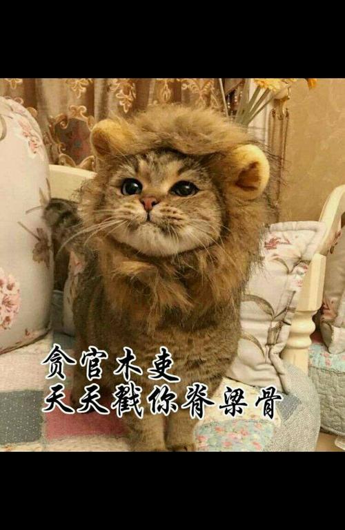 捡到千年猫最新版本是多少?完整版下载地址分享