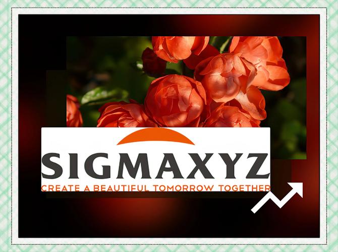 成为Sigma版本大全:不同平台版本下载及对比推荐