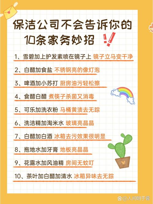 家务官方网站推荐:轻松搞定家务好帮手