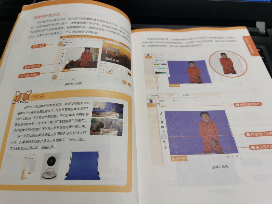 欢乐岛游戏攻略秘籍:玩转游戏,成为高手