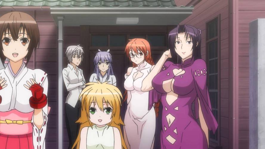 后宫岛官方网站：下载游戏，体验精彩后宫生活！