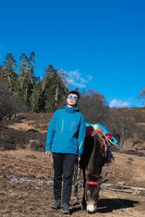 急需奴役的秘境更新地址?这篇攻略告诉你下载方法!