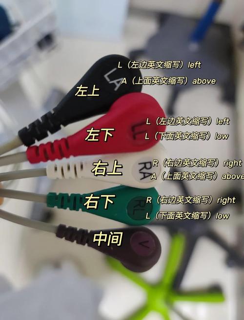 轻松掌握监护人游戏:超详细新手攻略指南