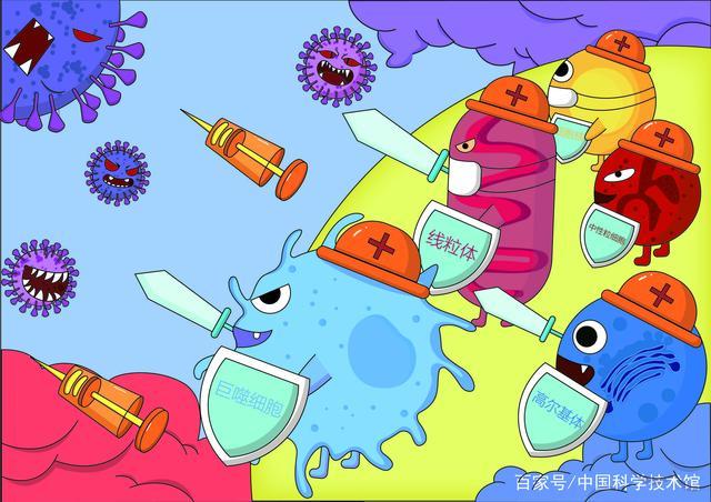 安全下载志愿少女官方正式版最新版：告别病毒和弹窗