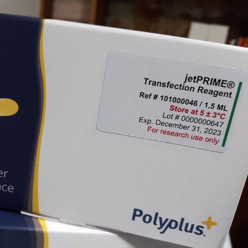 SiliconLust安卓版下载:简单方便的下载方法