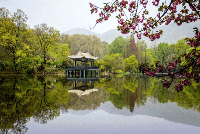 四季官网:了解四季动态,享受四季便捷服务