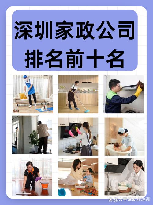 家务官方网站推荐:轻松搞定家务好帮手