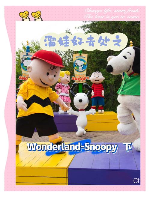 欢乐岛游戏攻略秘籍:玩转游戏,成为高手