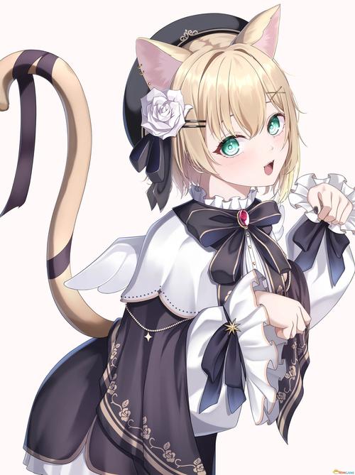 喵喵岛3官方正式版下载:最新版本安装包免费获取