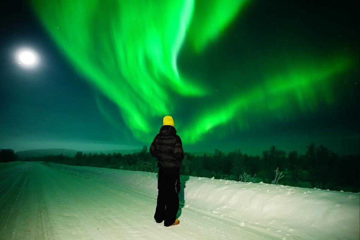 想看北极光?安卓下载就能实现!