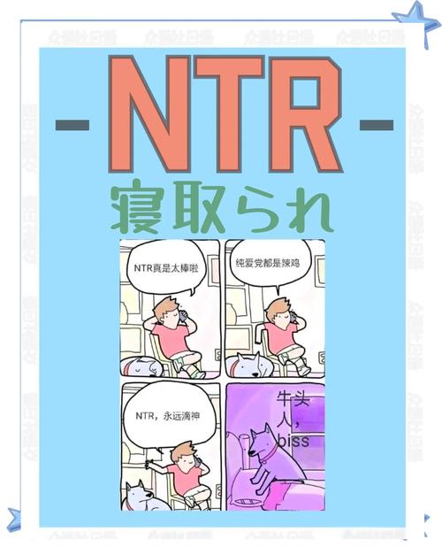 NTR课程1.9最新版本更新：新增剧情道具技能详解