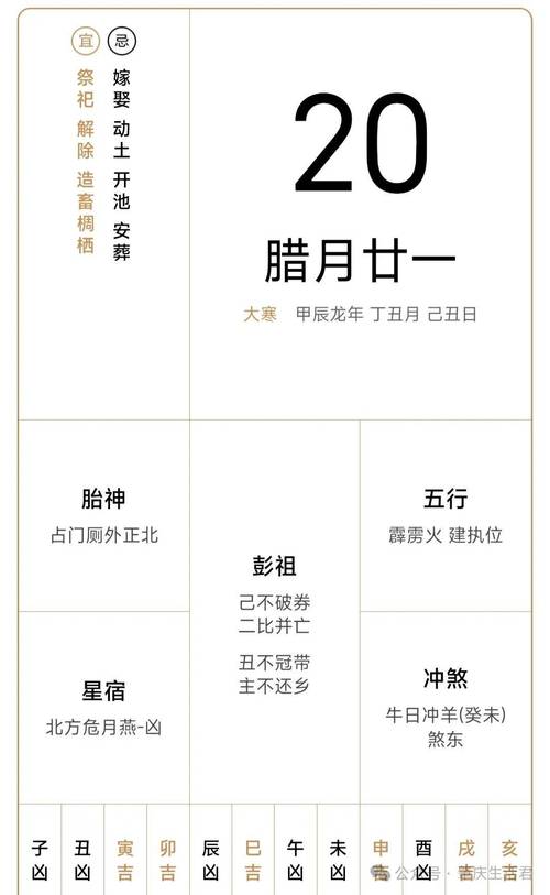 五日寸止在哪下载？安全可靠的下载方法及资源推荐