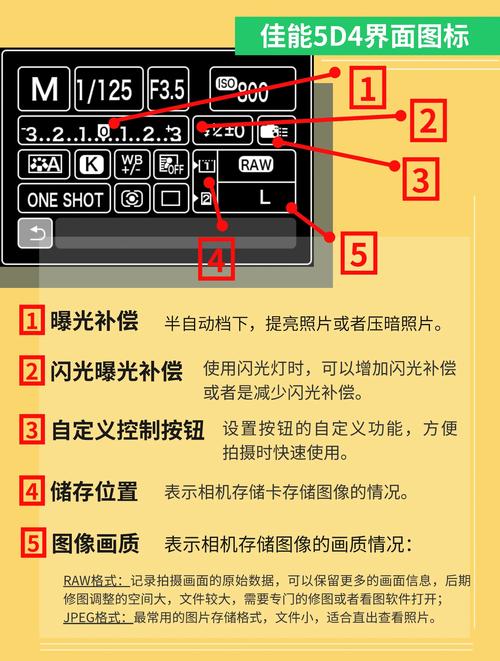 如何在视灵1安卓版中找到并使用5dm？