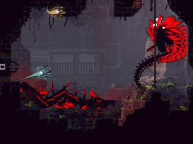 女孩收藏家官网入口:快速进入游戏世界