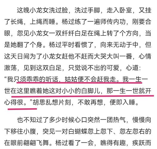 深入探讨:杨过游戏盗摄视奸事件的真相与反思