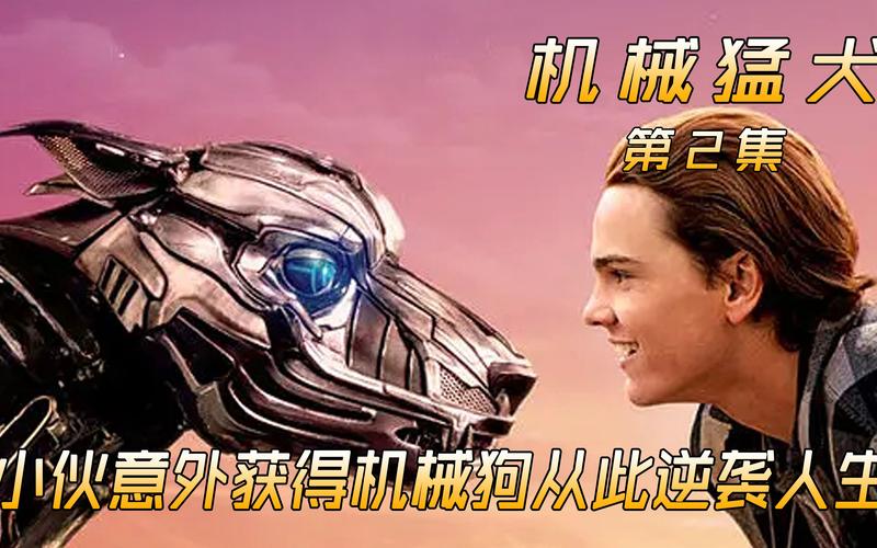 失业继承游戏财产？杨过游戏带我逆袭人生！