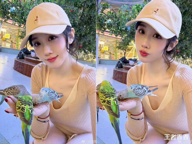 寻找轩子巨二兔官网?粉丝必备导航入口!