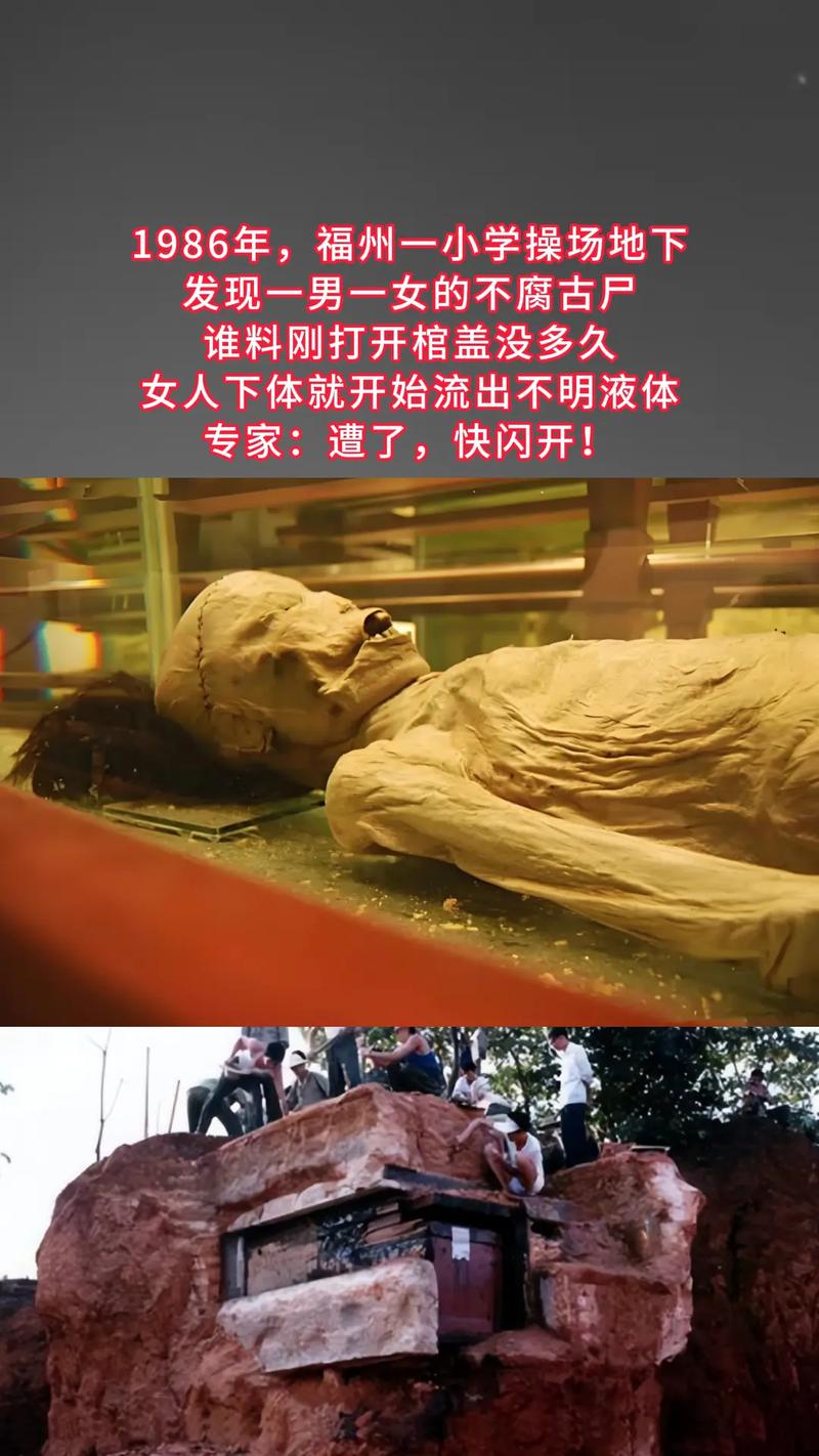 屍最新版本是多少？免费阅读资源汇总！