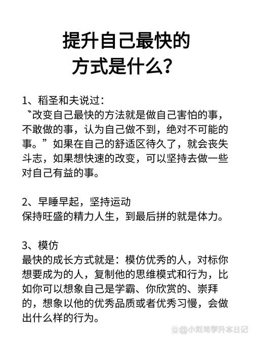 掌握奴隶训练最新版本:快速提升效率的实用方法