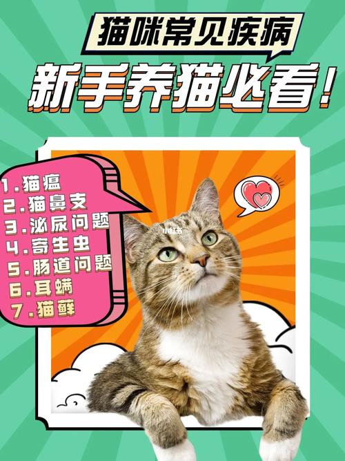 玩转变身夏日V1.37版本大全：新手入门必看指南