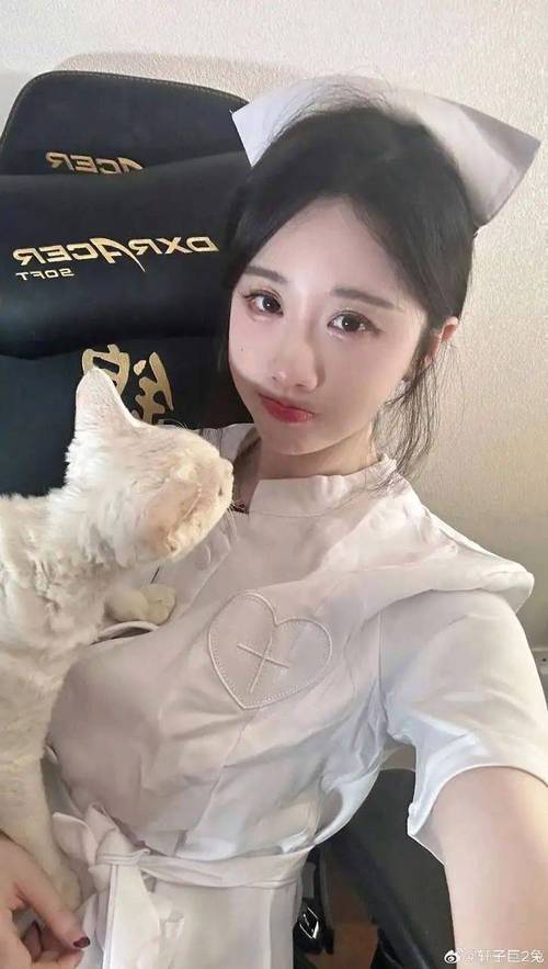 轩子巨二兔安卓汉化版在哪下载?这里有你想要的!