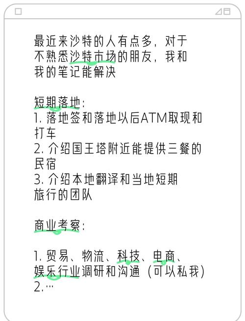商务旅行游戏攻略:NTR剧情深度解析及玩法技巧详解