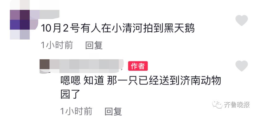 急寻全面诱惑2下载?这里有你想要的资源!