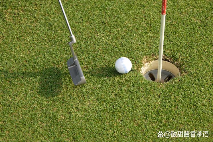 高尔夫是棒球洞运动？安卓汉化版游戏等你体验！