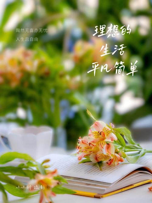 梦想家生活V0.6：欲望国度官网带你体验理想生活