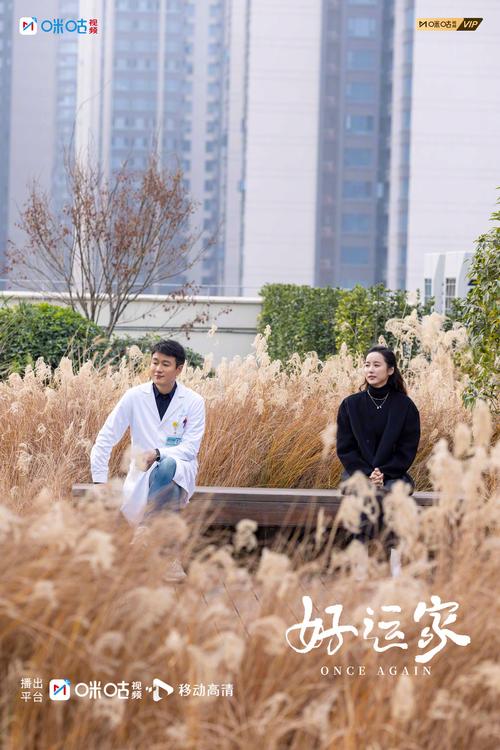 想听四季?这份版本大全满足你,各种版本任你选