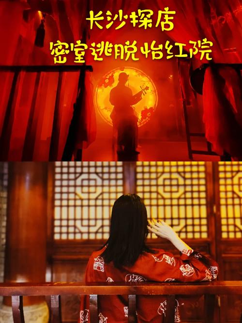 想玩做怡红院的主人?官方网站带你入坑