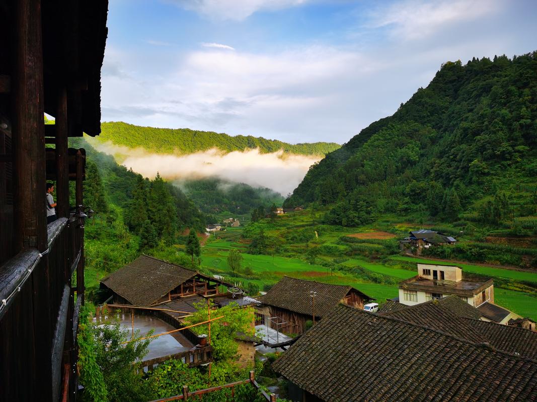 最新版乡村生活的快乐暑假:感受农村的快乐童年