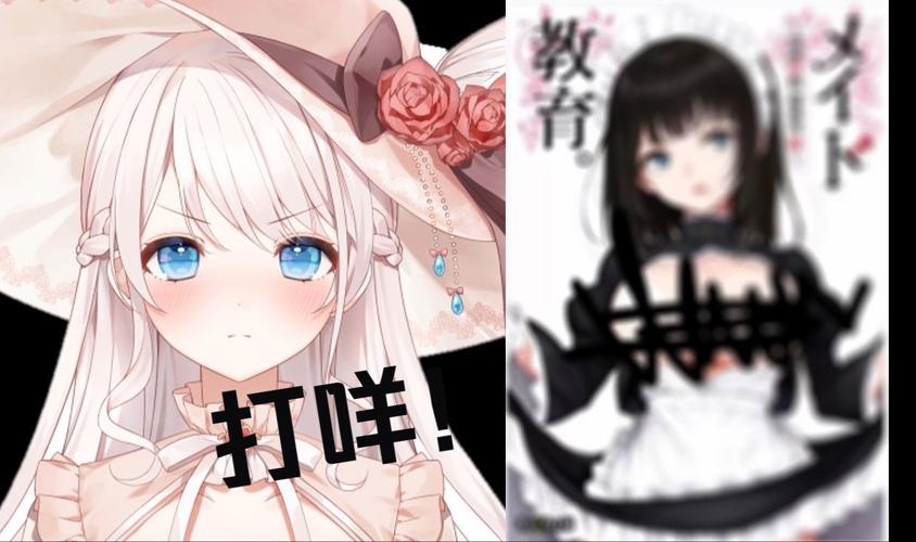 热门动画大小姐琉璃子暑假狂欢：精翻完整版资源推荐