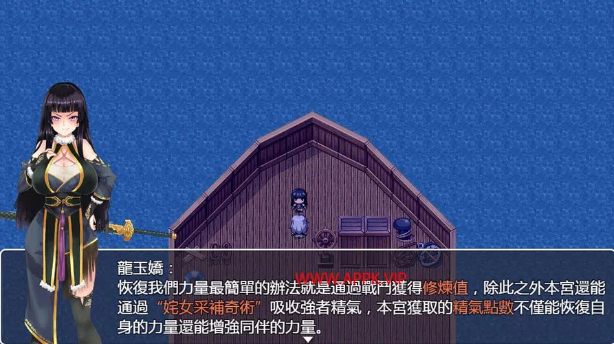 青龙剑姬传游戏攻略：新手入门必看技巧详解