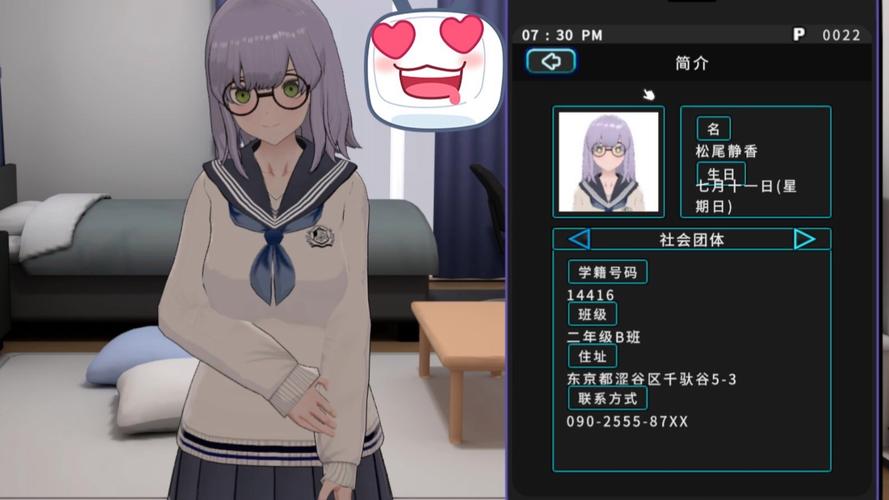 女孩收藏家游戏官网:二次元女孩收集,打造你的专属后宫!