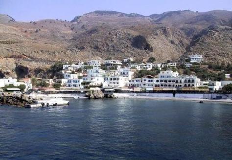 寻找Nekotto岛游戏官网?教你快速找到下载入口