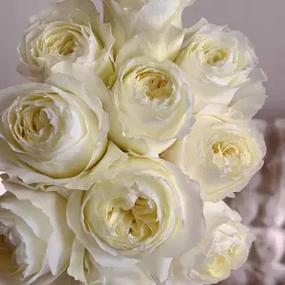 太妃物语重制版官方正式版下载最新版:完整汉化版等你来玩