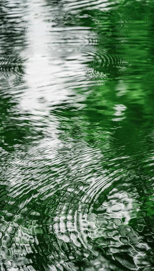 哪里可以安全下载涟漪安卓?认准官方渠道,放心用!