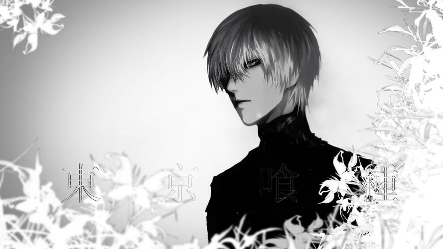 告别求种!SOB东京热下载方法大公开!