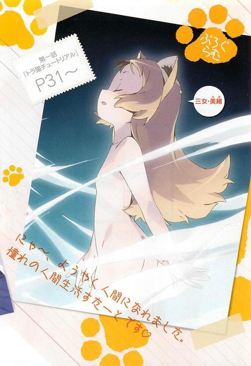 猫娘汉化版下载速度快技巧？提升效率实用方法！