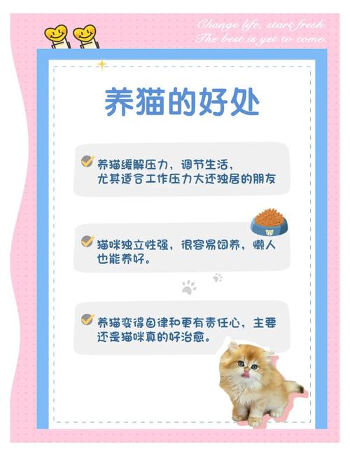 养猫更轻松：猫研社官方正式版最新版下载，科学养猫！