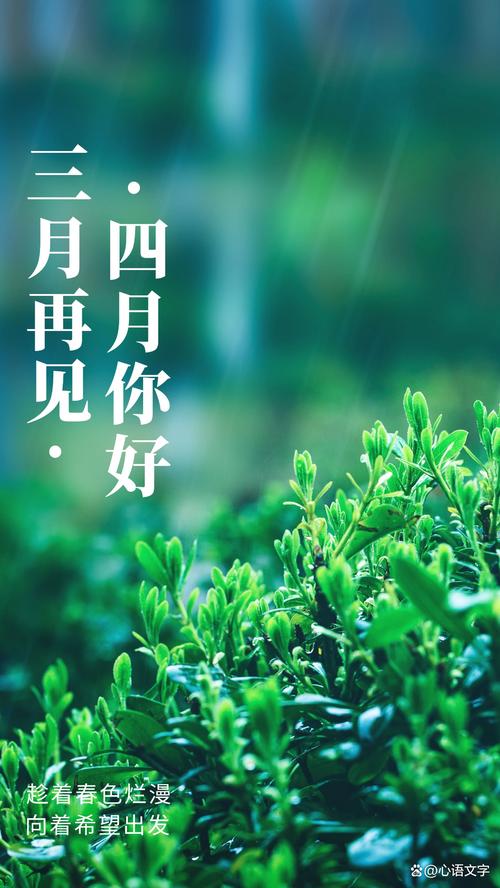 jinricp3月4日正式版下载安卓怎么提速下载？实用秘诀高效完成！